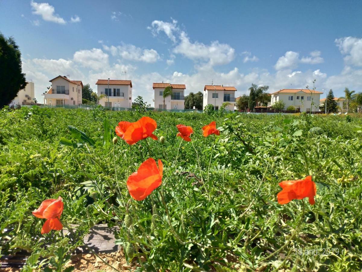 Maricosta Villas Villa